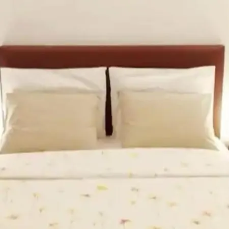 Sobreiro's In Douro Valley