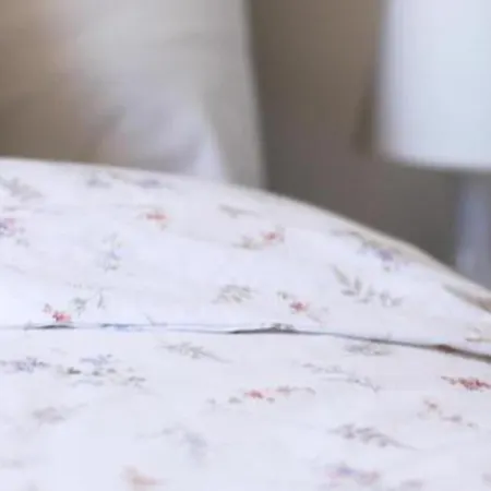 Sobreiro's In Douro Valley Vakantiehuis *