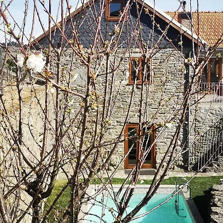 Vakantiehuis Sobreiro's In Douro Valley *