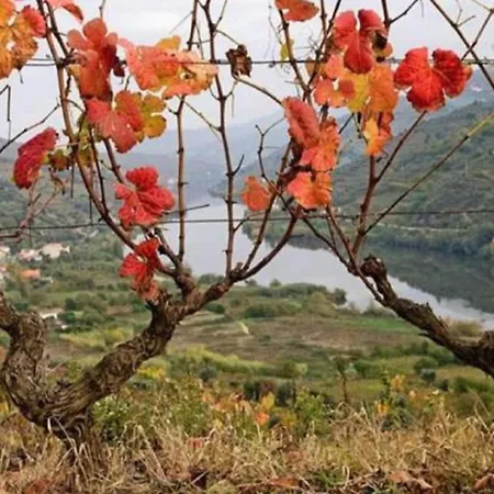 펜션 Sobreiro's In Douro Valley 메사오프리오