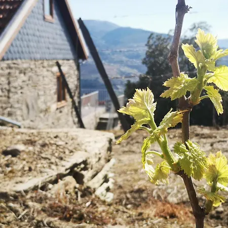 Sobreiro's In Douro Valley מסאו פריו