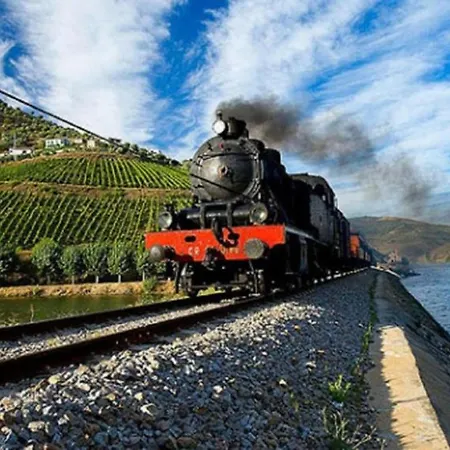 Sobreiro's In Douro Valley Mesão Frio