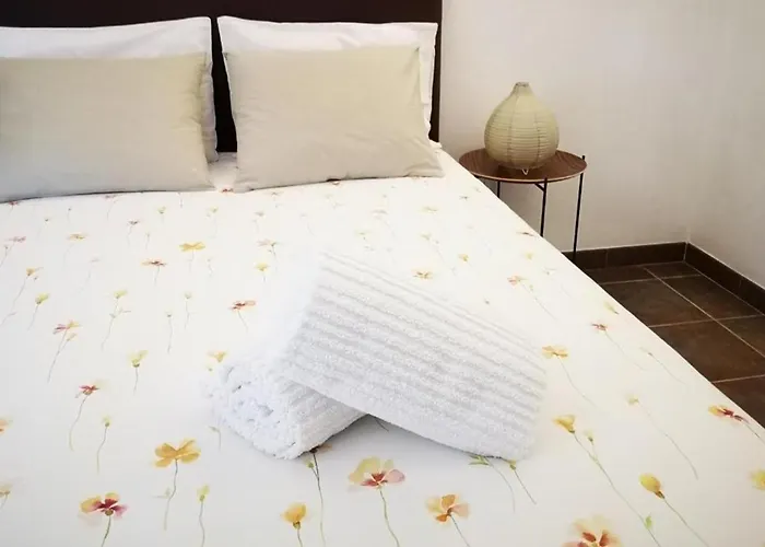 Sobreiro'S Villa In Douro Valley *