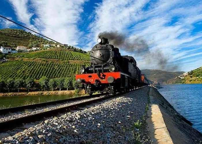Sobreiro'S Villa In Douro Valley Mesao Frio