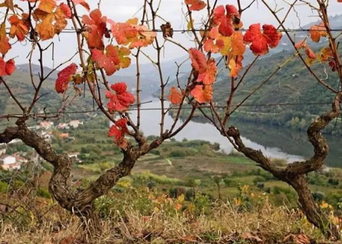 Sobreiro'S Villa In Douro Valley Holiday home Mesao Frio